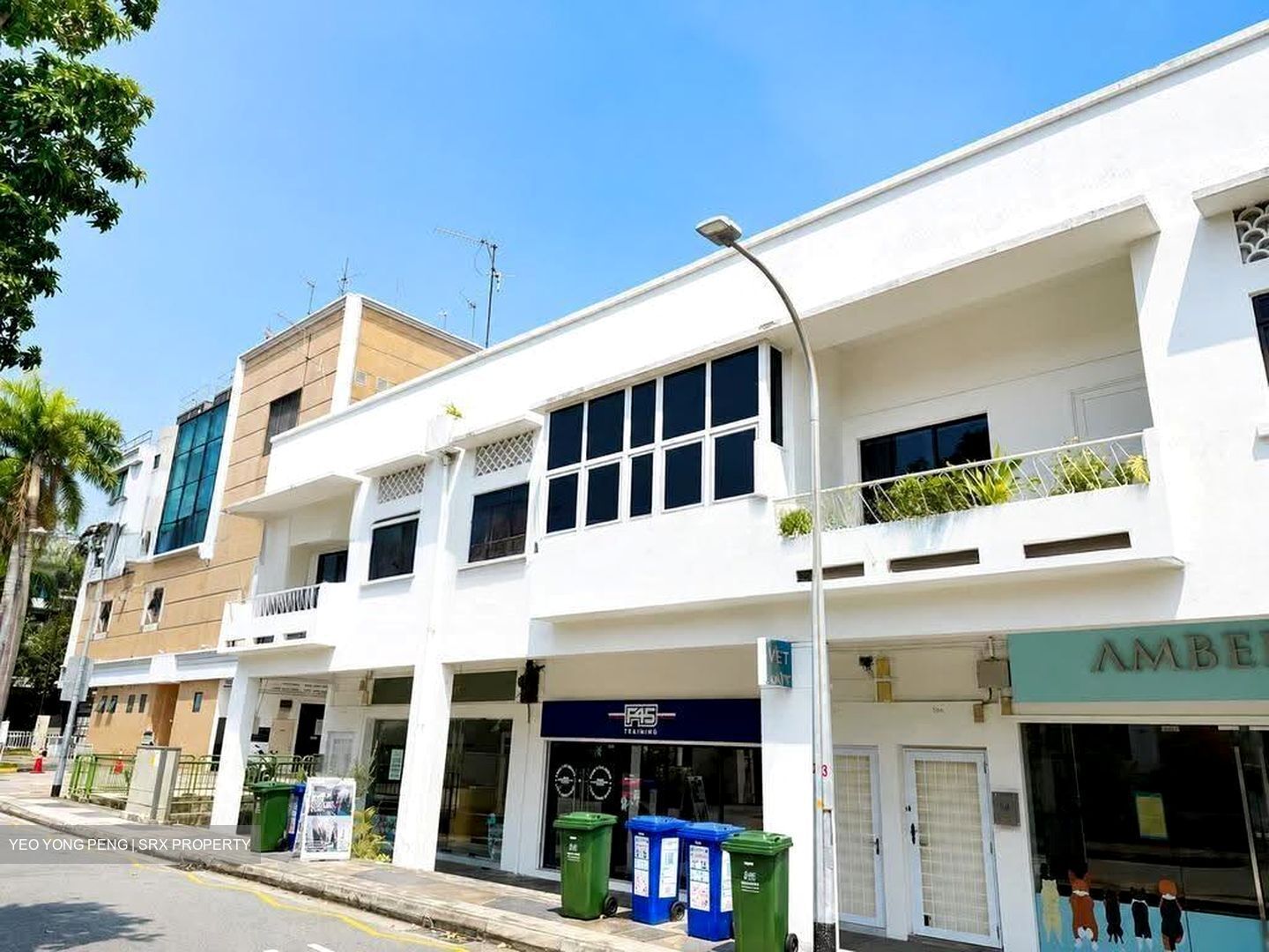 Frankel Estate (D15), Shop House #613403751